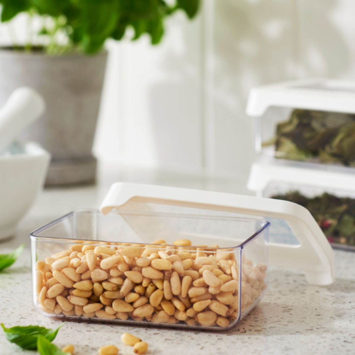 Boite de rangement parfait pour tout aliments